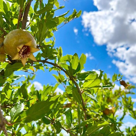 Podere Poggio Salto Διαμέρισμα Πιέντσα Εξωτερικό φωτογραφία