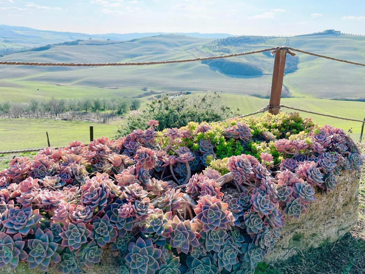 Podere Poggio Salto Διαμέρισμα Πιέντσα Εξωτερικό φωτογραφία