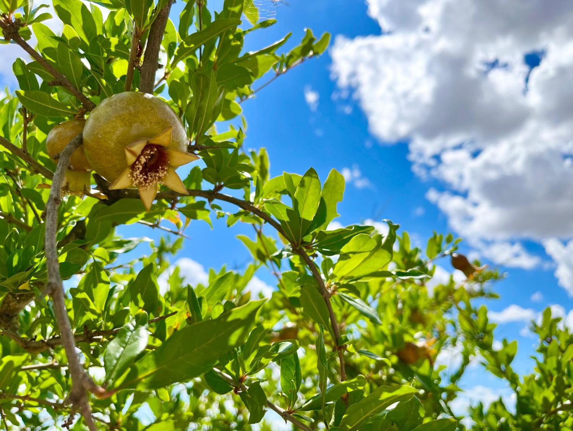 Podere Poggio Salto Διαμέρισμα Πιέντσα Εξωτερικό φωτογραφία