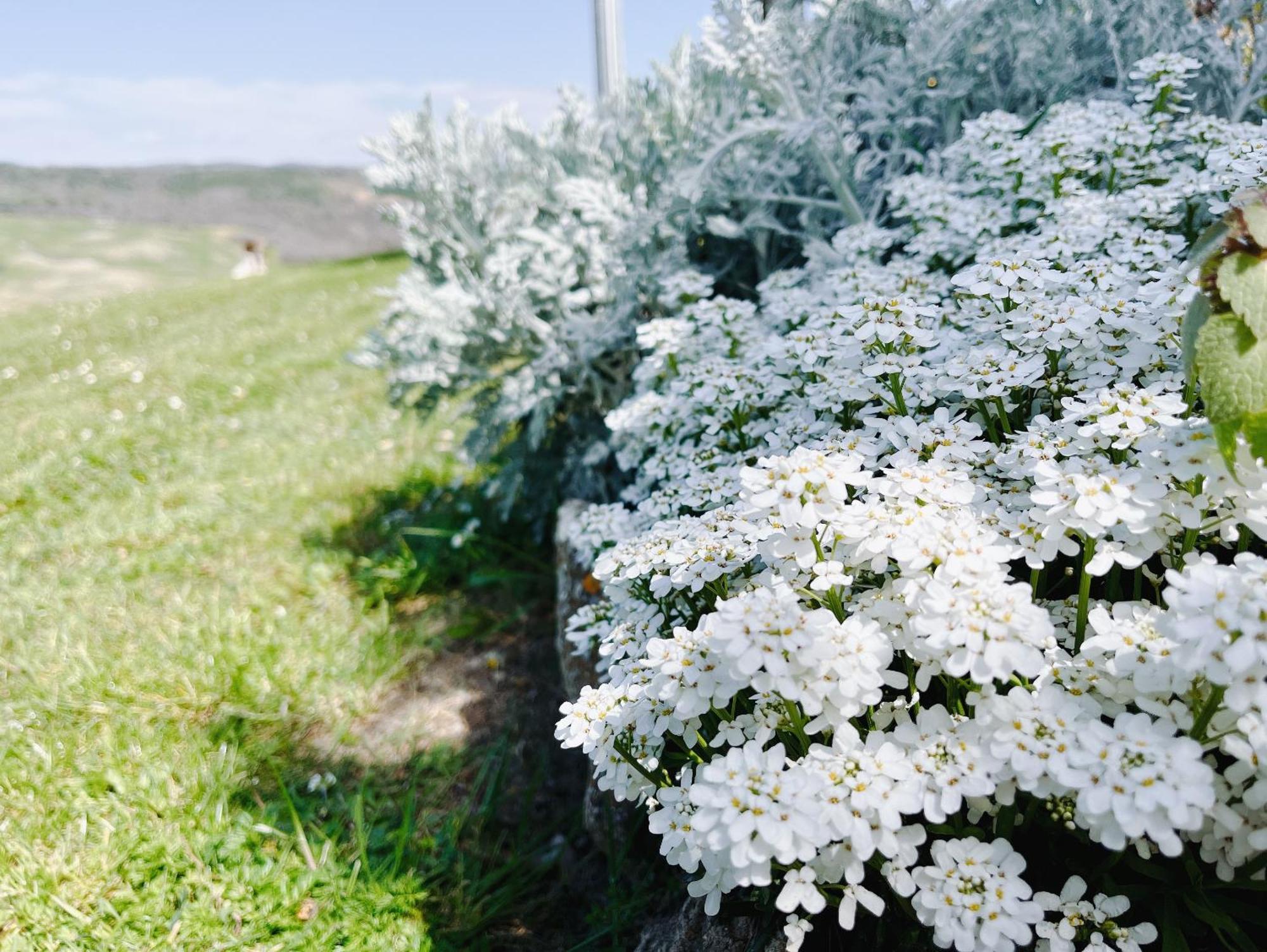 Podere Poggio Salto Διαμέρισμα Πιέντσα Εξωτερικό φωτογραφία