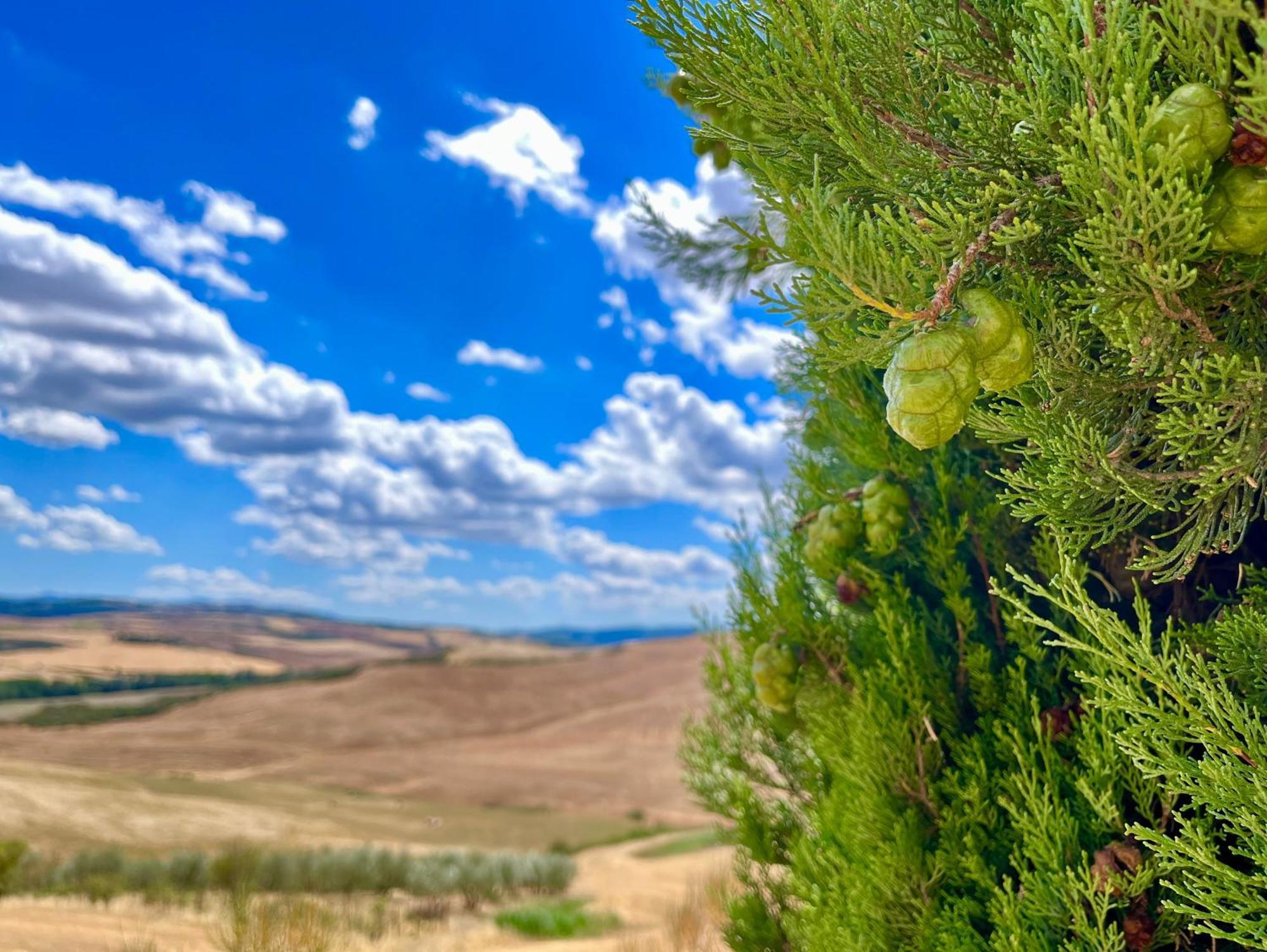 Podere Poggio Salto Διαμέρισμα Πιέντσα Εξωτερικό φωτογραφία