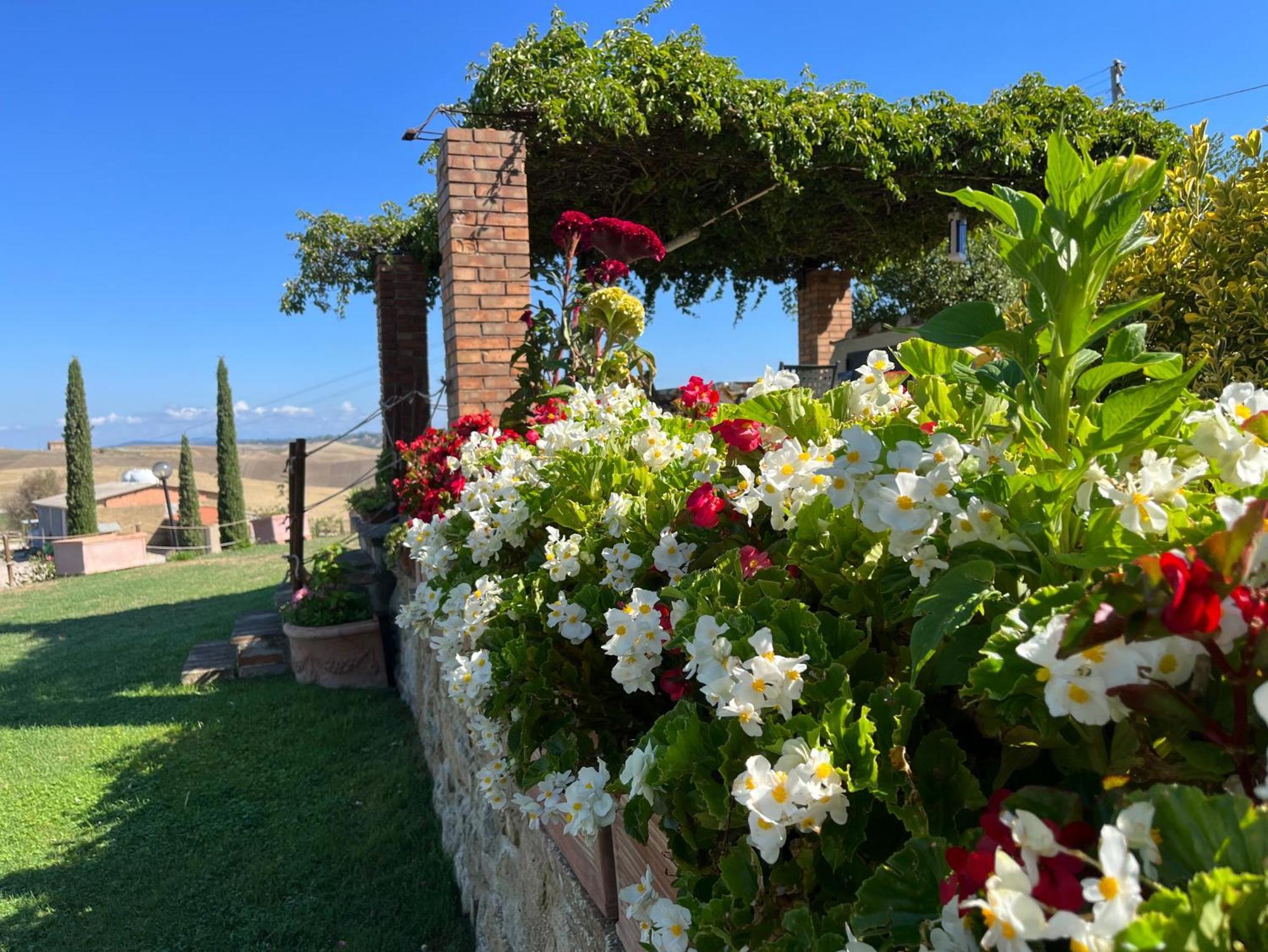 Podere Poggio Salto Διαμέρισμα Πιέντσα Εξωτερικό φωτογραφία